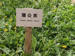 -天毓山庄·餐厅