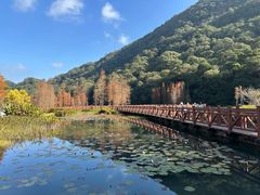 -广州市石门国家森林公园