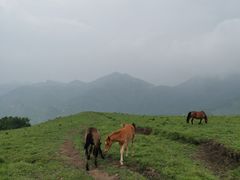 -灵山