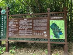 -大屏嶂森林公园