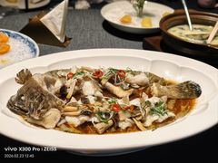 石斑鱼-翠府(翠湖北路店)