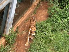 -昆明动物园