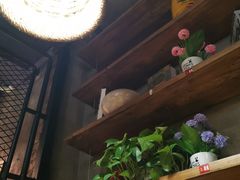 -管氏翅吧(地安门创始店)
