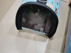 -美迦爱-牙专科·兔科·骨科诊疗中心(北苑店)