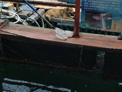 -蓝湾碧波·老字号·疍家非遗海上餐厅