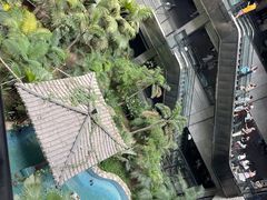 -黑龙江中医药大学附属第一医院