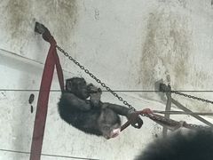 -太原动物园