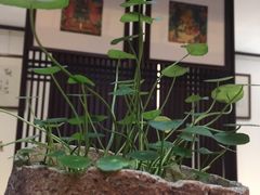 -成都皈徕栖精品酒店(四川大学九眼桥店)