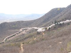 -樱花山风景区