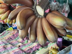 -南沙十九涌渔人码头-南门