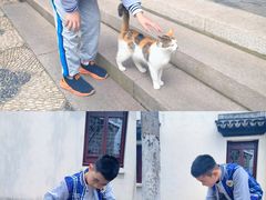 -檀园