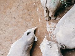 -长鹿旅游休博园