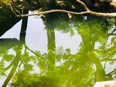 -沧浪亭