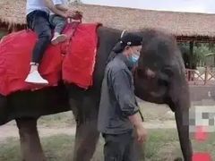-昆明动物园