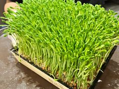 -九鼎轩脆毛肚火锅(五角场店)