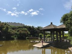 -漳州滨海火山岛自然生态风景区