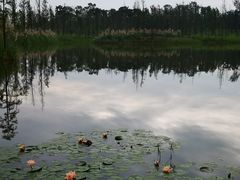 -白鹭湾湿地公园