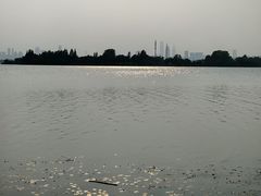 -东湖落雁景区