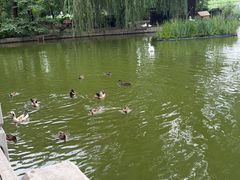 -莲花池公园