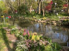 -上海共青森林公园