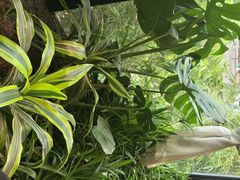 -太守宴·蘭院(天塔店)