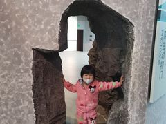 -烟台自然博物馆