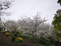 -南山植物园