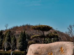 -洛阳古墓博物馆