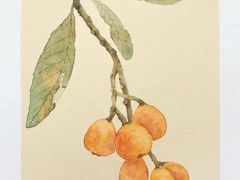 -六出私塾LiuChu•成人美术书法系统课程专业画室(熊婆婆的花园店)