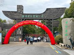 -溱湖国家湿地公园