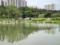-广西壮族自治区药用植物园