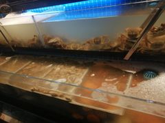 -加餐海鲜自助(集美银泰百货店)