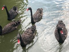 -长兴太湖图影湿地文化园