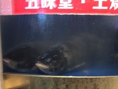 -五味堂·江浙土菜(月河特色店)