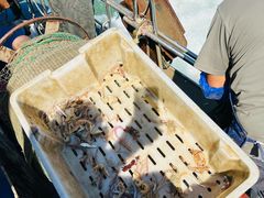 -日照世帆赛基地