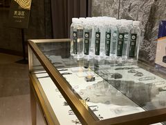 -漢頓温泉度假酒店
