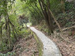 -火炉山森林公园
