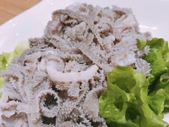 -掂档潮汕牛肉火锅(沈阳万象城店)