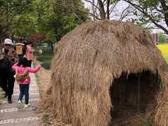 -长兴太湖图影湿地文化园