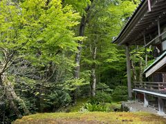 -三千院