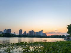 -莲花池公园