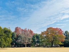 -东湖落雁景区