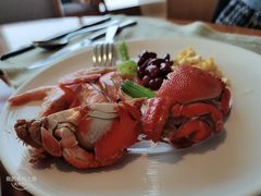 -视界美食自助餐厅·石家庄希尔顿酒店