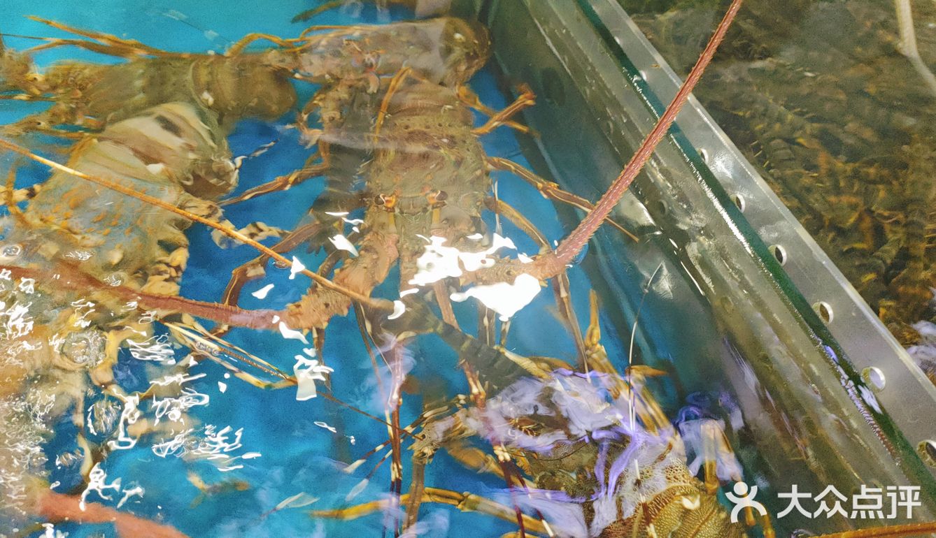 🌴🌴海口吃海鲜好去处——划算省心不费脑🐙🐟🐠🐚