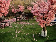 -郑州银基黄帝宫御温泉