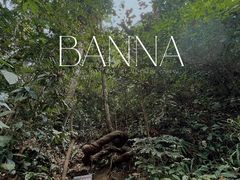 -西双版纳原始森林公园