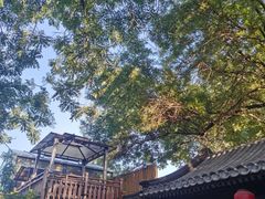 -悦真雅院·四合院·清真私房菜(雍和宫店)