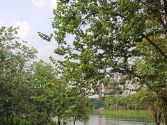 -海珠湖公园