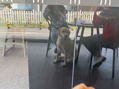 -麦当劳(国际社区店)