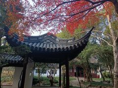 -汇龙潭